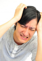 ؋̗qBxm{sōECӐEȔjYElĐ